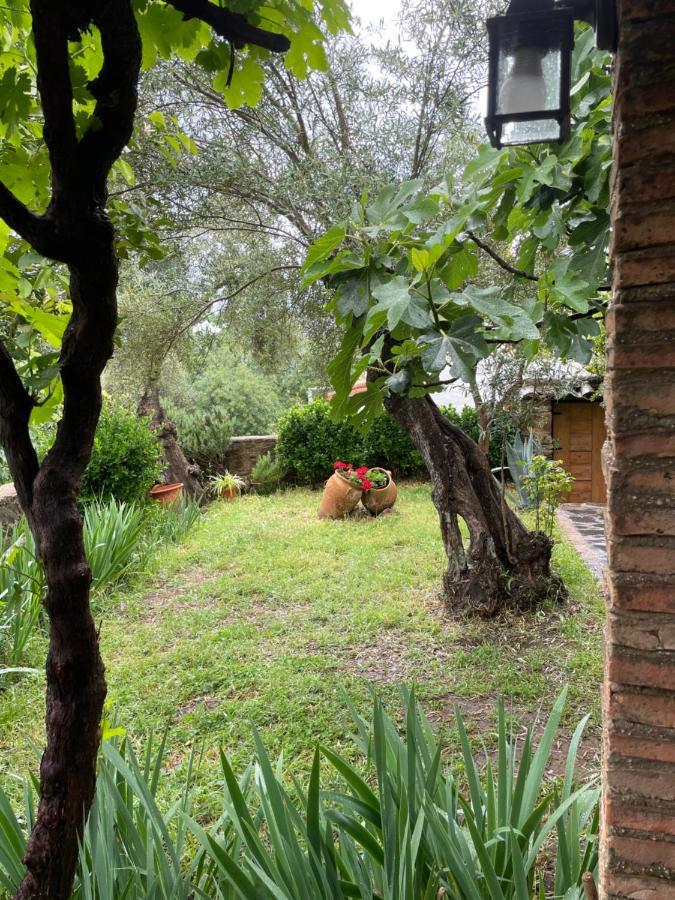 El Lucero Casa rural *