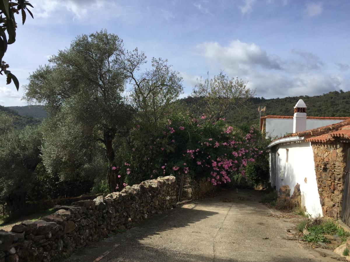 El Lucero